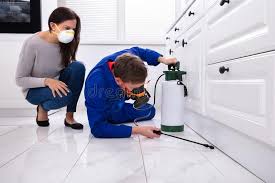 Real Estate Pest Inspections in Flanders, NY